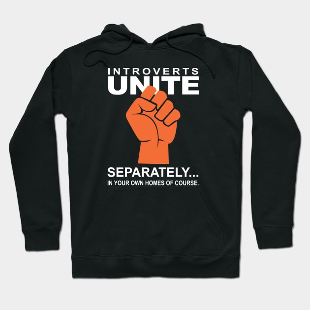 Introverts Unite - Separately Hoodie by DubyaTee